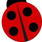 noemibookkeeper
