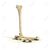 lbones